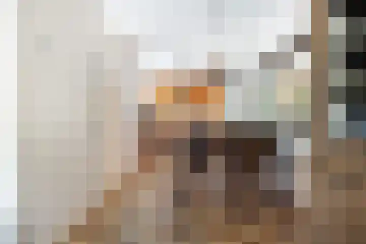 Loevestein 71 Dordrecht thumbnail 19