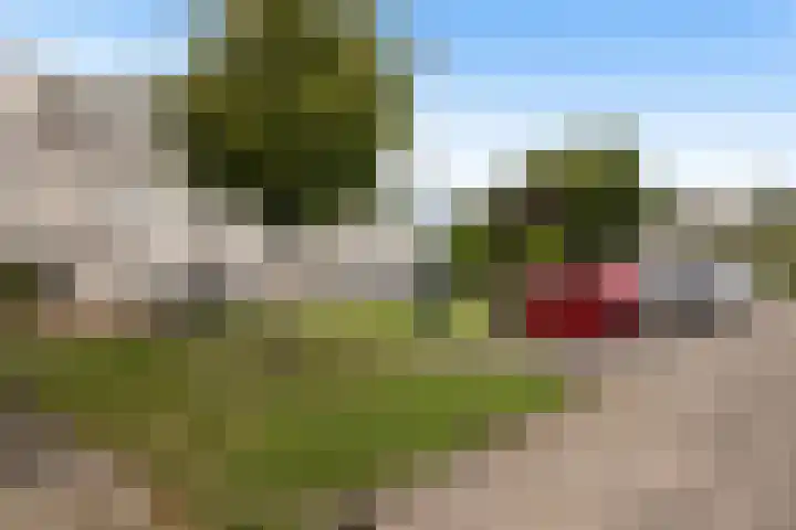 Loevestein 71 Dordrecht thumbnail 6