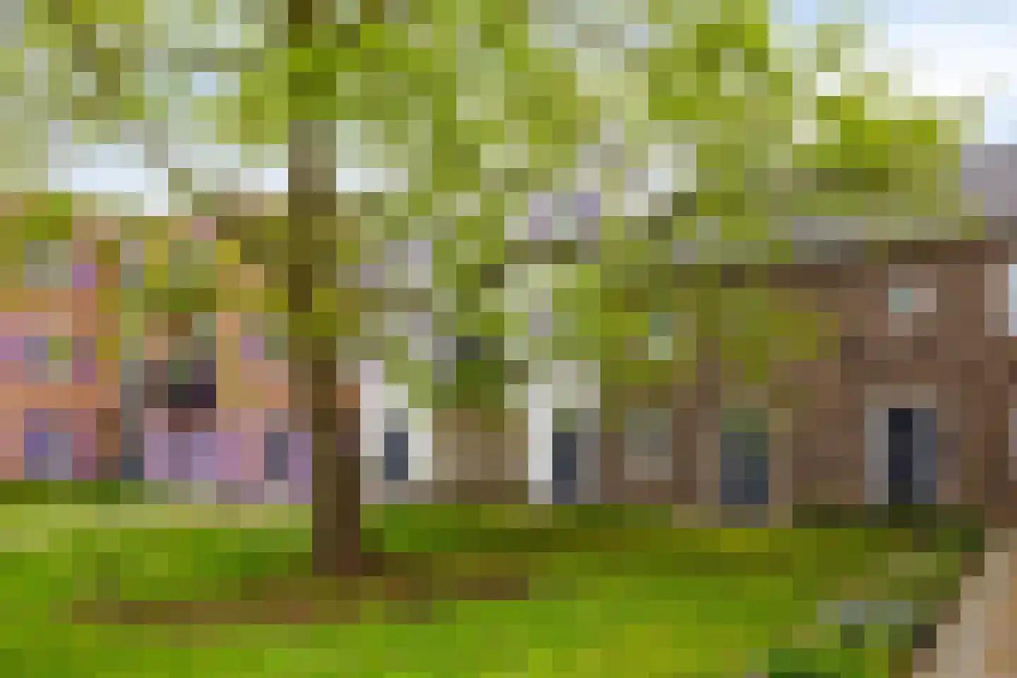 Loevestein 75 Hengelo thumbnail 5