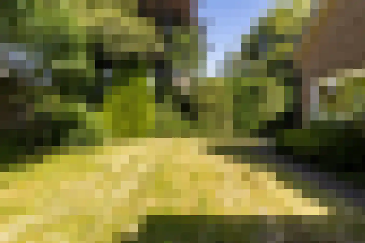 Loevestein 8 Ugchelen thumbnail 33