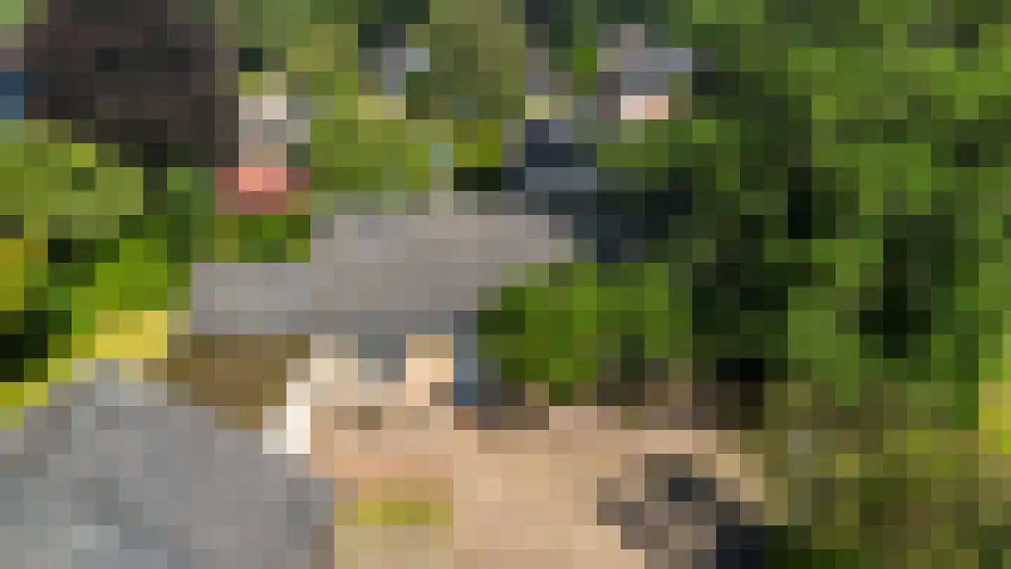 Loevestein 8 Ugchelen thumbnail 36
