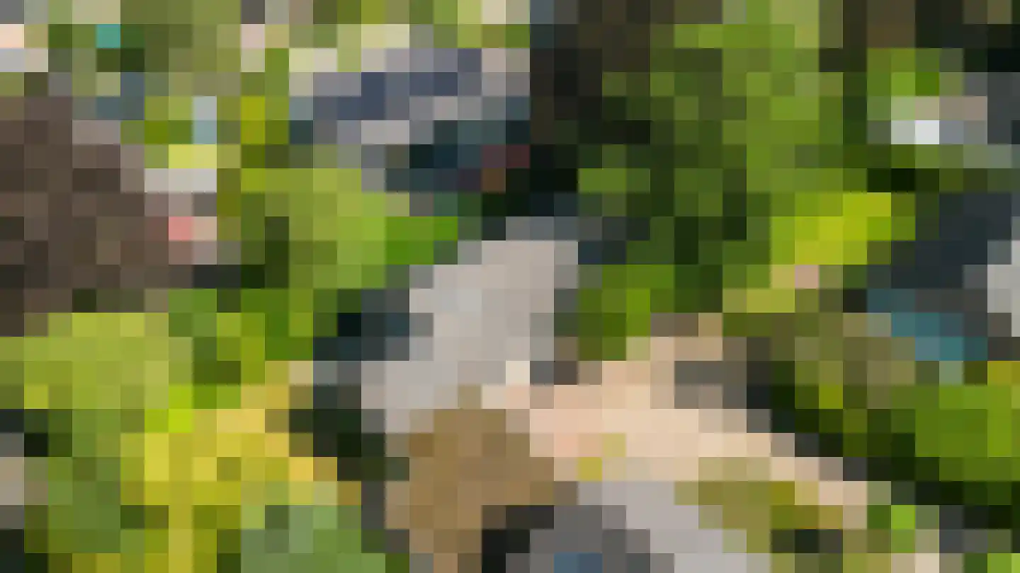 Loevestein 8 Ugchelen thumbnail 37