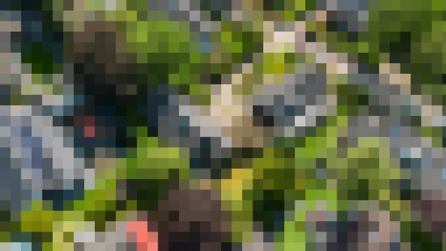 Loevestein 8 Ugchelen thumbnail 39