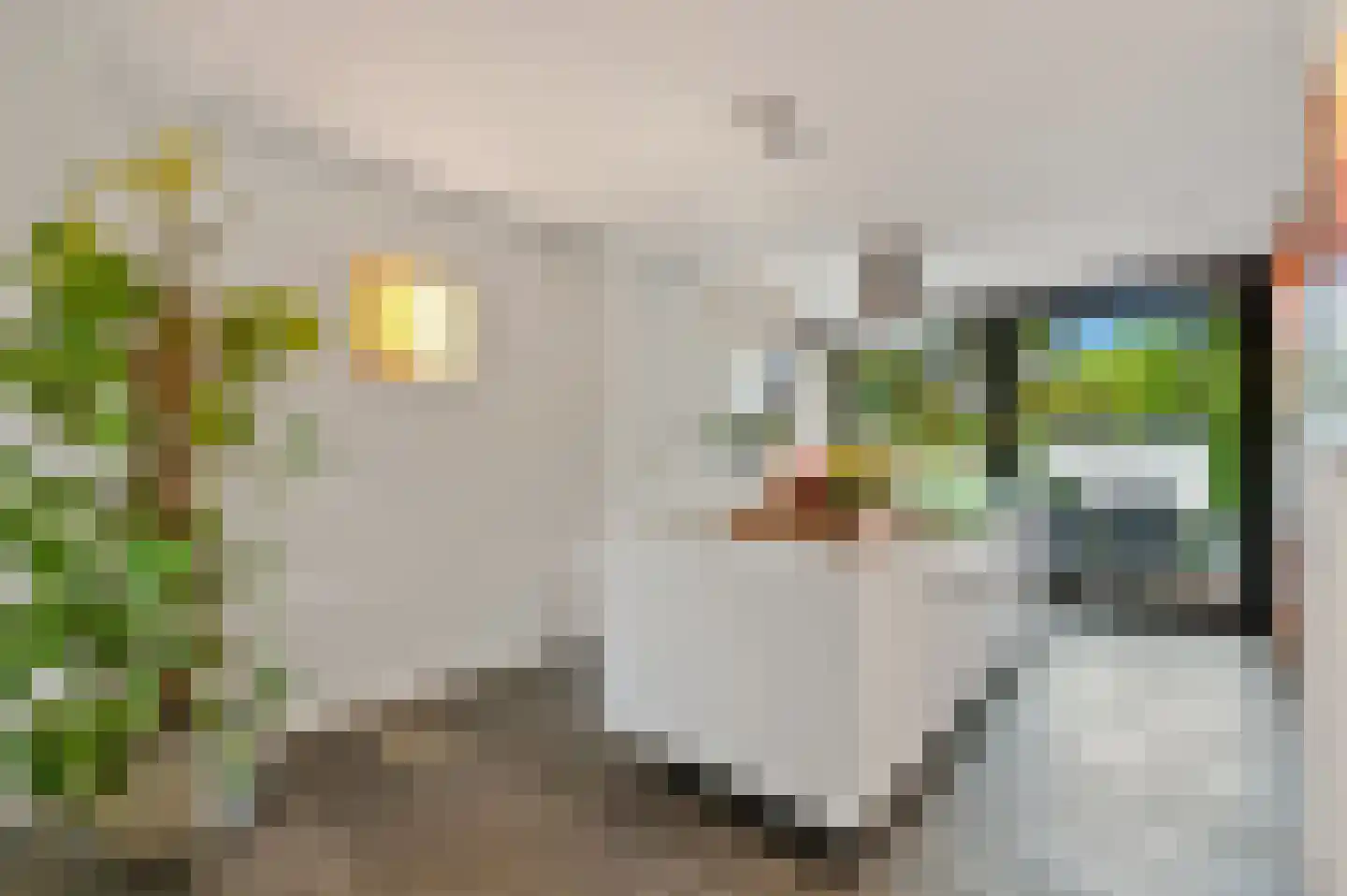Loevesteinlaan 194 Den Haag thumbnail 15