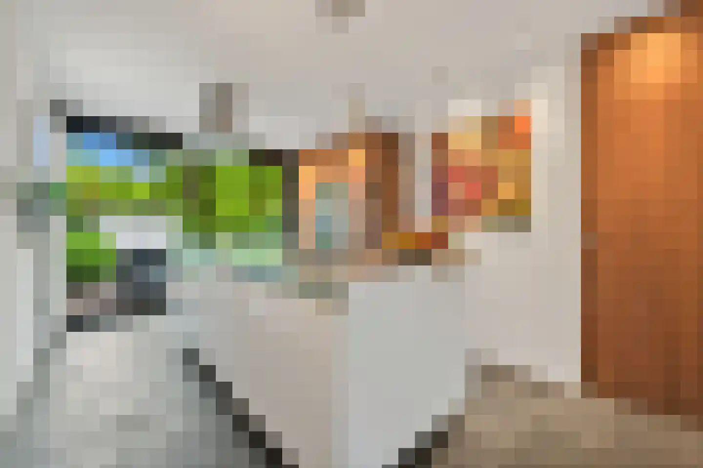 Loevesteinlaan 194 Den Haag thumbnail 17