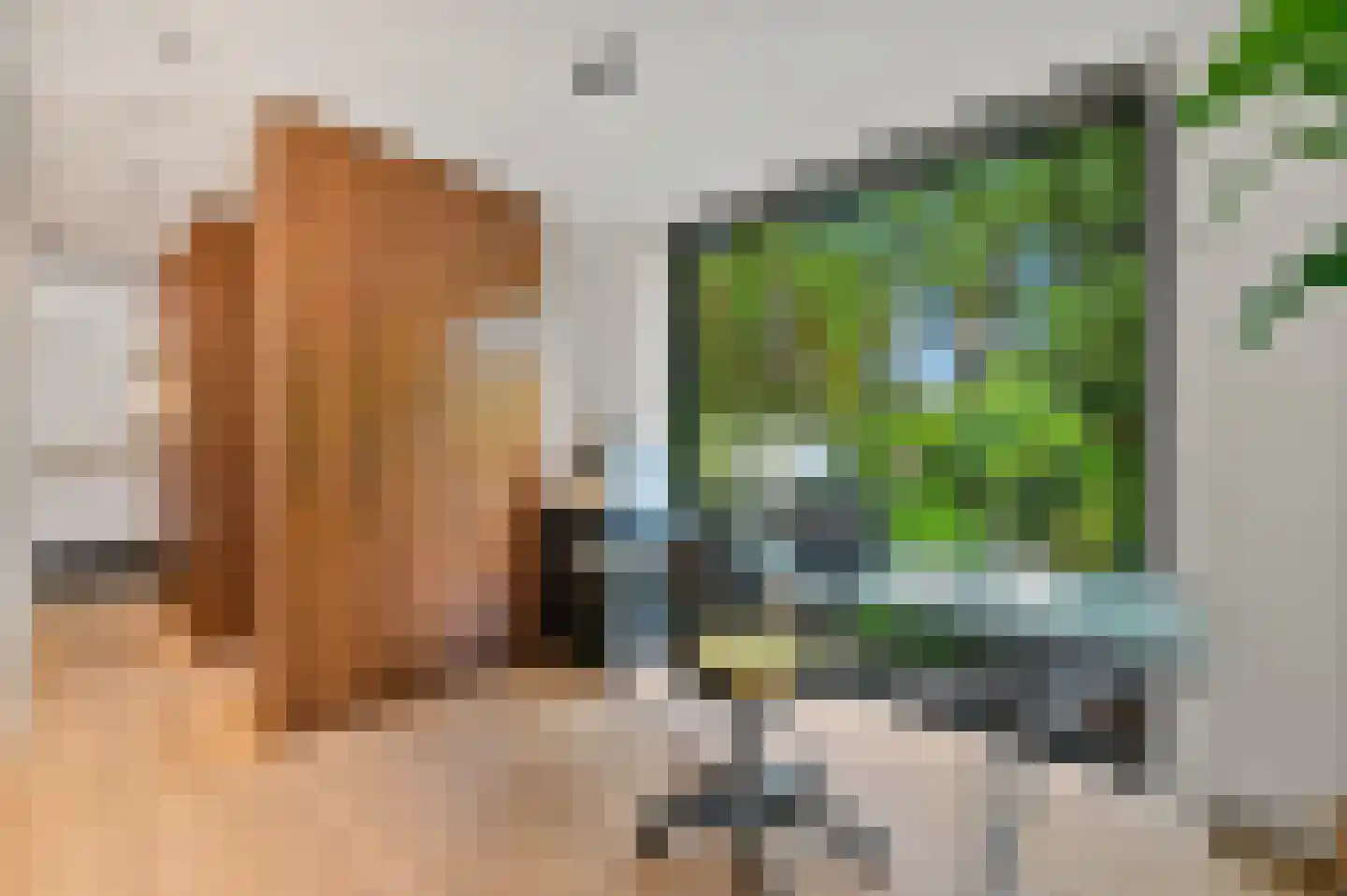 Loevesteinlaan 194 Den Haag thumbnail 21
