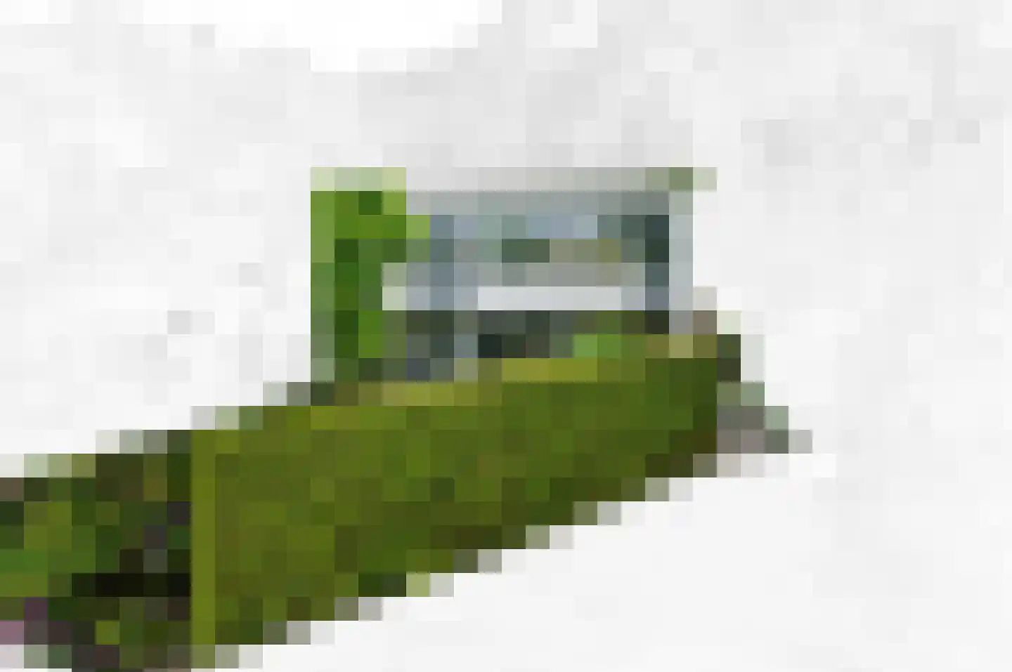 Loevesteinlaan 194 Den Haag thumbnail 4