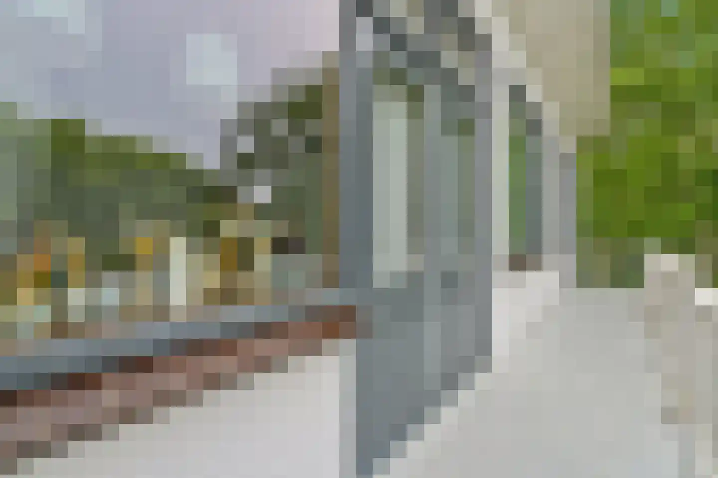 Loevesteinlaan 194 Den Haag thumbnail 43