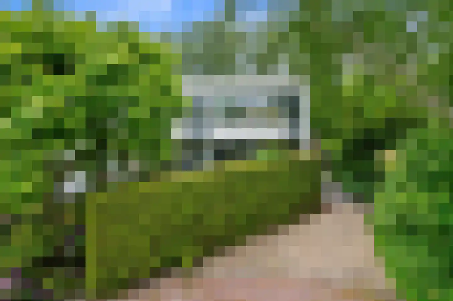 Loevesteinlaan 194 Den Haag thumbnail 49