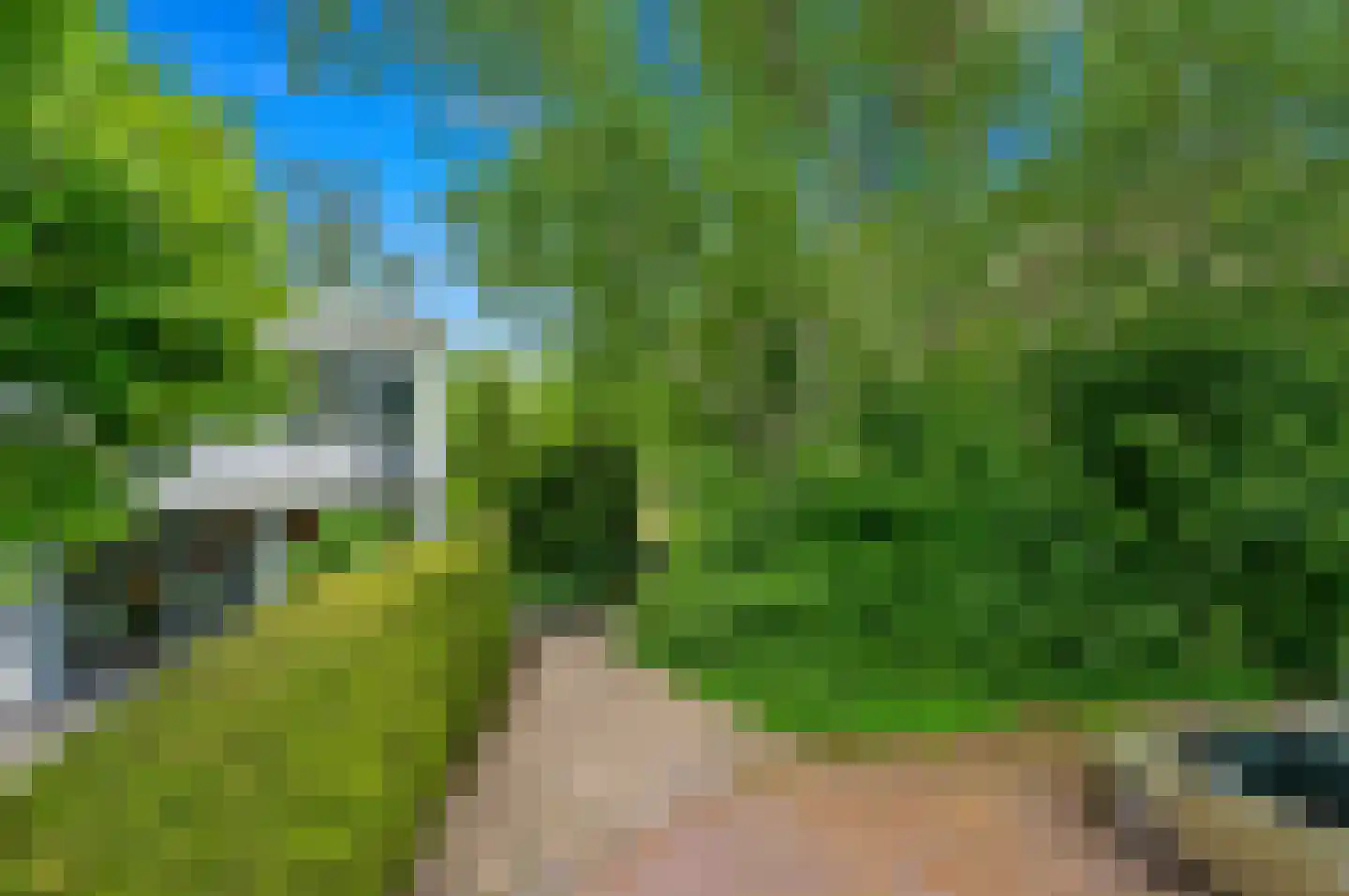 Loevesteinlaan 194 Den Haag thumbnail 5