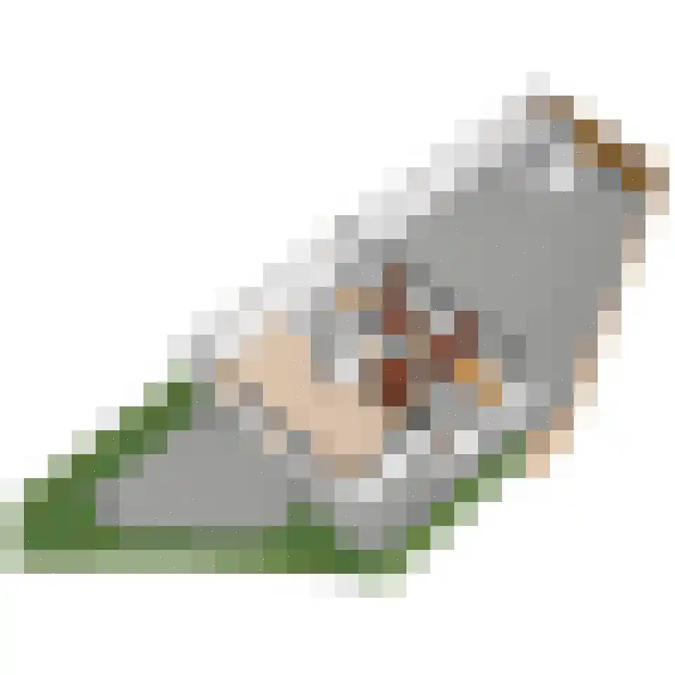 Loevesteinlaan 194 Den Haag thumbnail 55