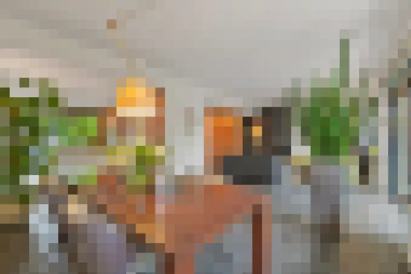 Loevesteinlaan 194 Den Haag thumbnail 9
