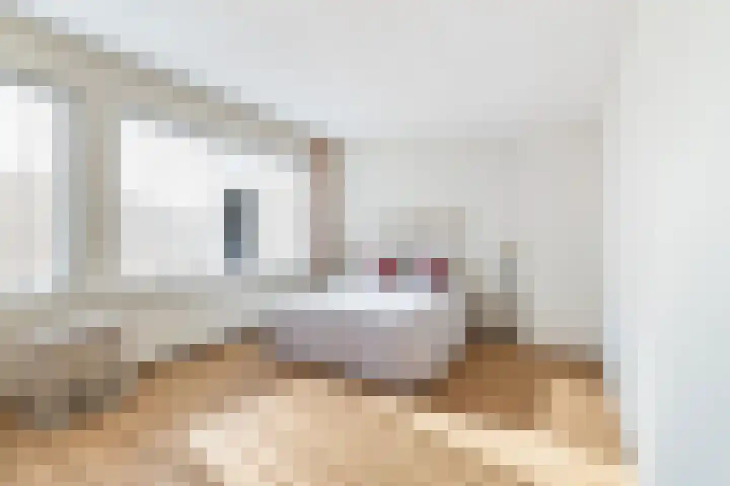 Loevesteinlaan 198 Den Haag thumbnail 22