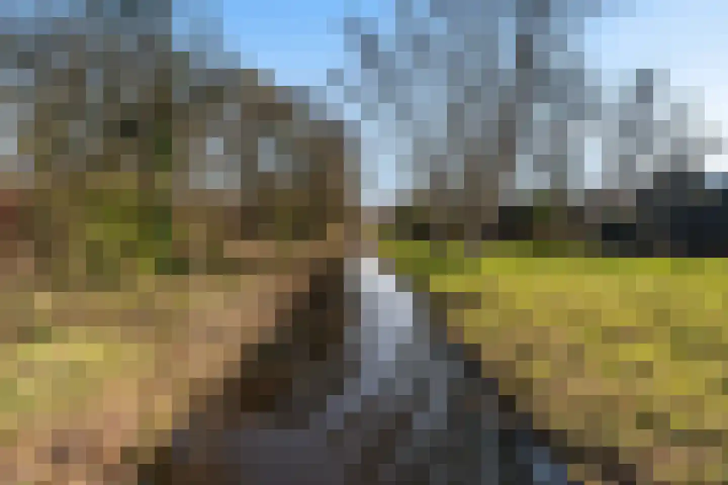 Loevesteinlaan 198 Den Haag thumbnail 42