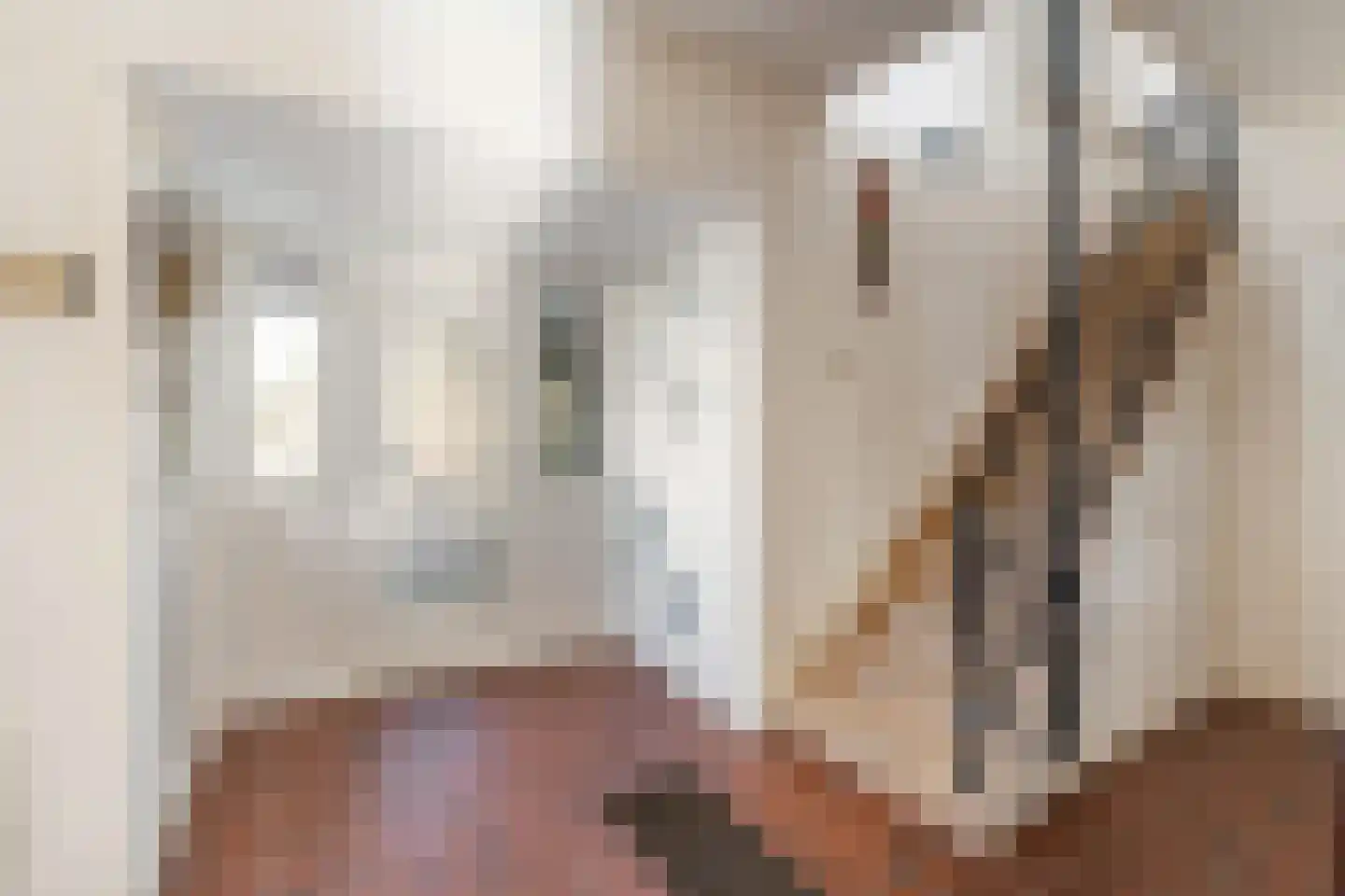 Loevesteinlaan 198 Den Haag thumbnail 5