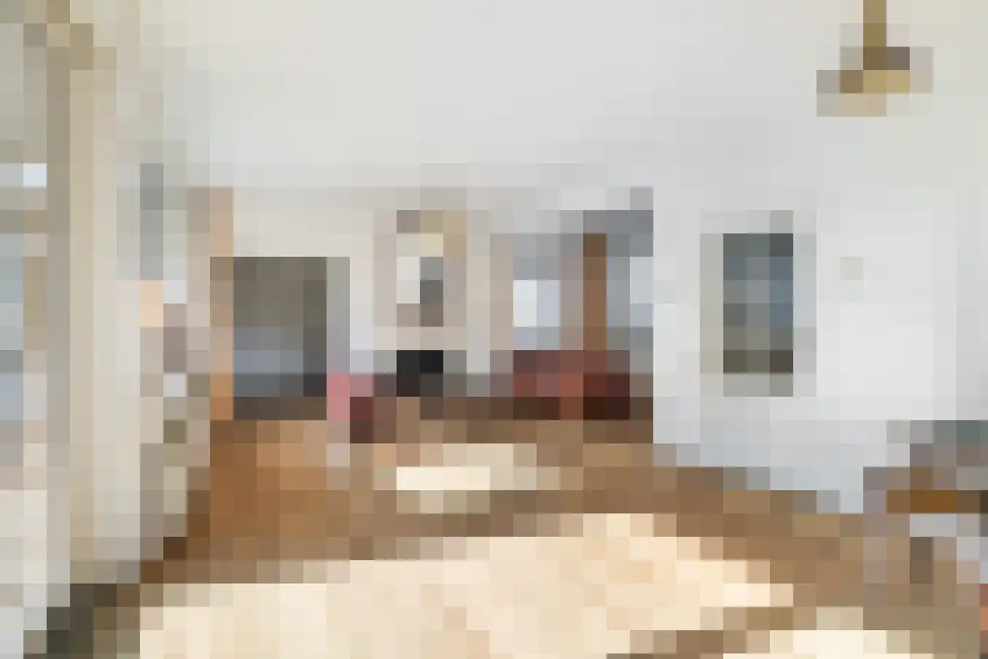Loevesteinlaan 198 Den Haag thumbnail 6