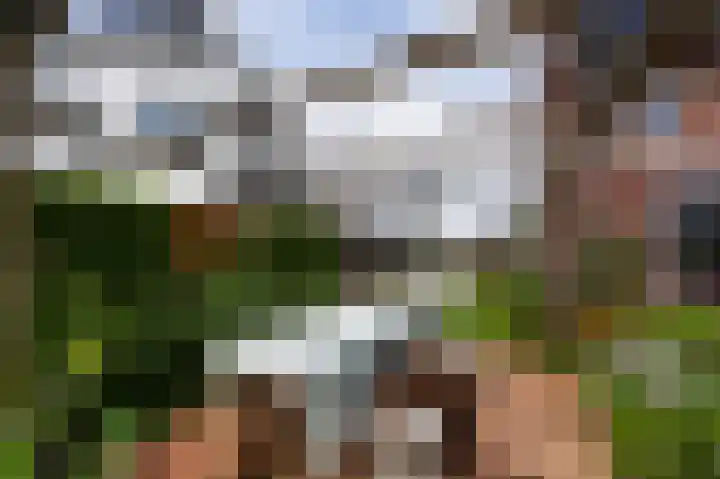 Loevesteinlaan 20 Weesp thumbnail 22