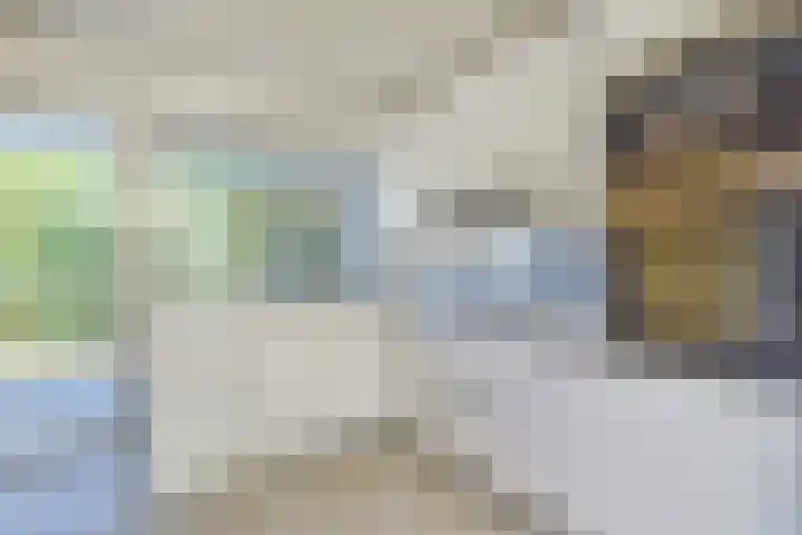 Loevesteinlaan 200 Den Haag thumbnail 10