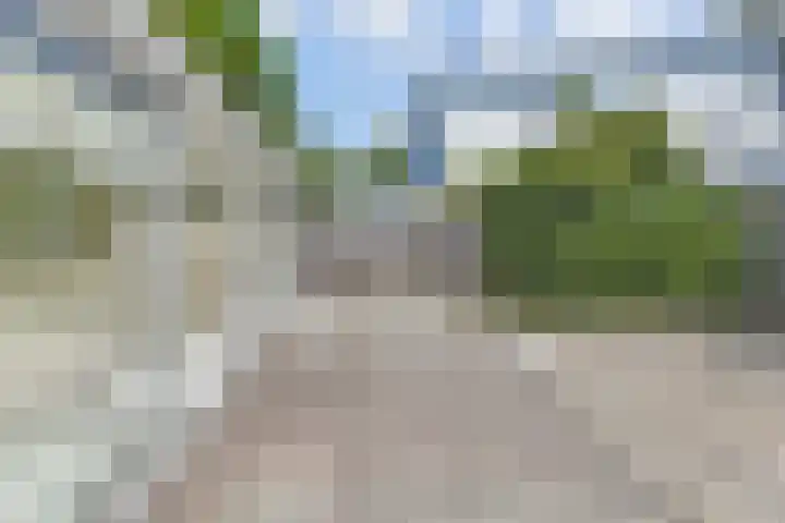 Loevesteinlaan 200 Den Haag thumbnail 17