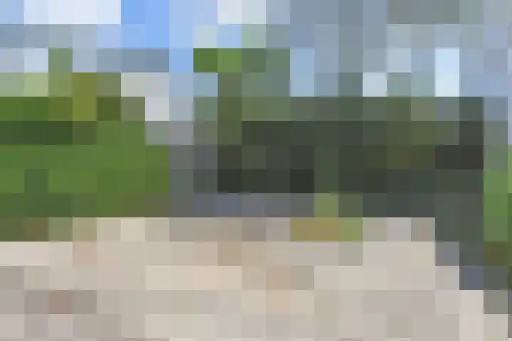 Loevesteinlaan 200 Den Haag thumbnail 19