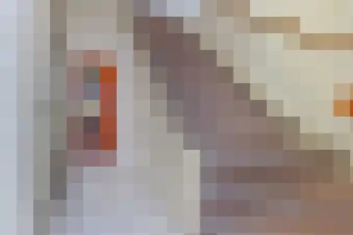 Loevesteinlaan 200 Den Haag thumbnail 21