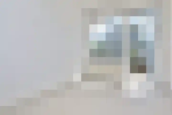 Loevesteinlaan 200 Den Haag thumbnail 30