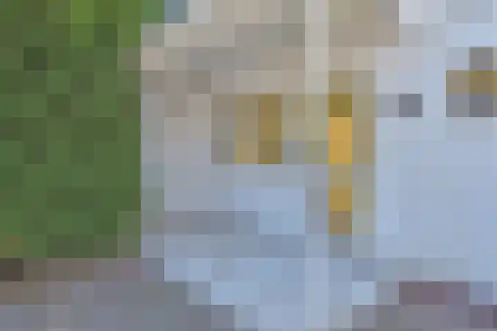 Loevesteinlaan 200 Den Haag thumbnail 36