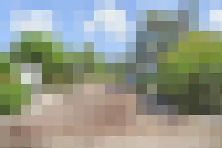 Loevesteinlaan 200 Den Haag thumbnail 42