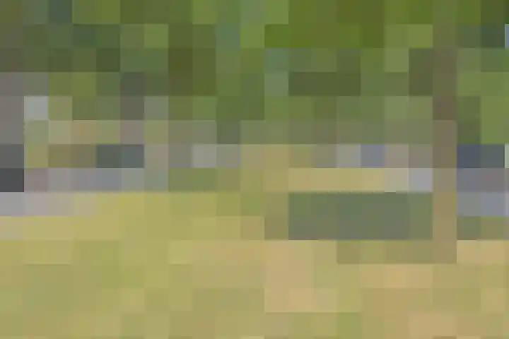 Loevesteinlaan 200 Den Haag thumbnail 43