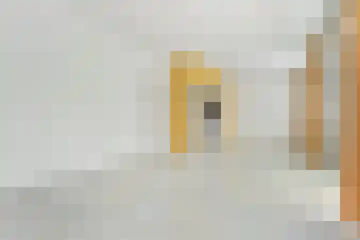 Loevesteinlaan 200 Den Haag thumbnail 5
