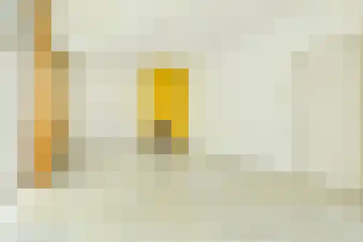 Loevesteinlaan 200 Den Haag thumbnail 6