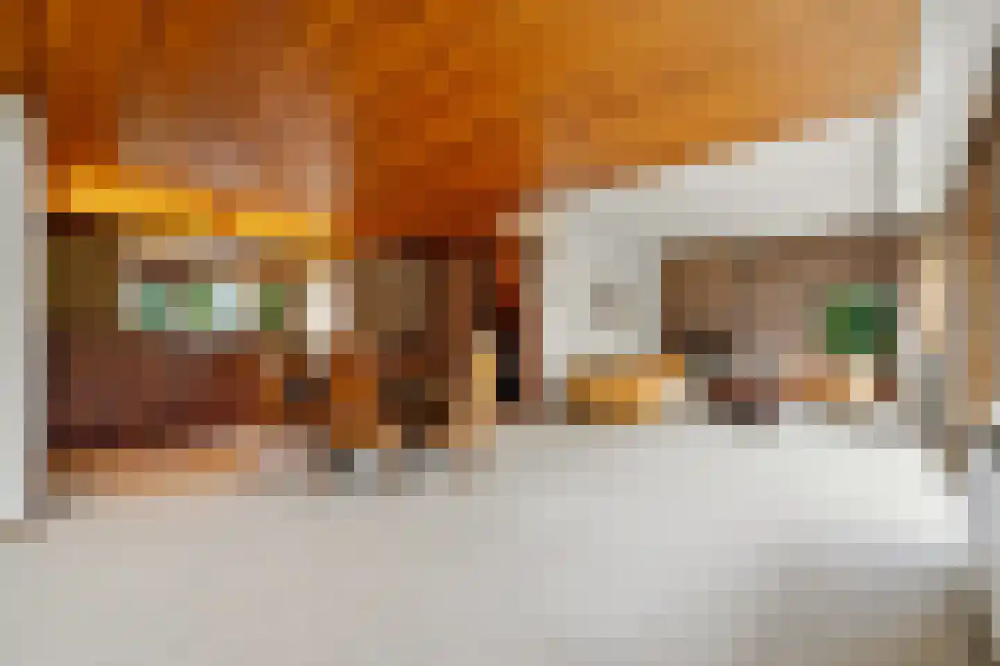 Loevesteinlaan 210 Den Haag thumbnail 12