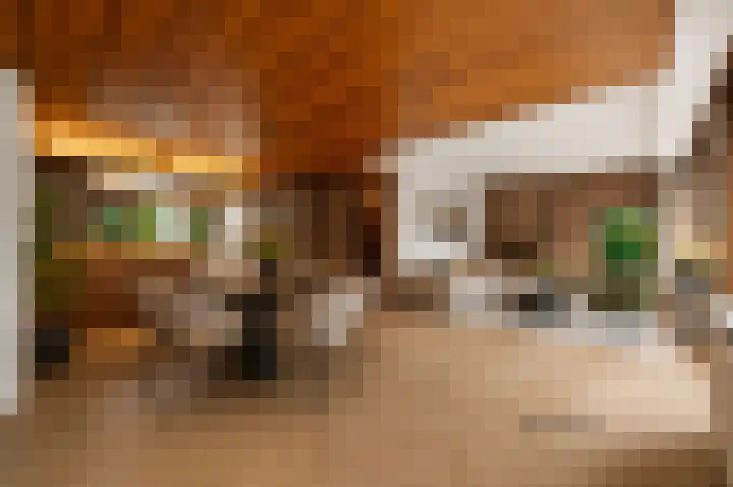 Loevesteinlaan 210 Den Haag thumbnail 13