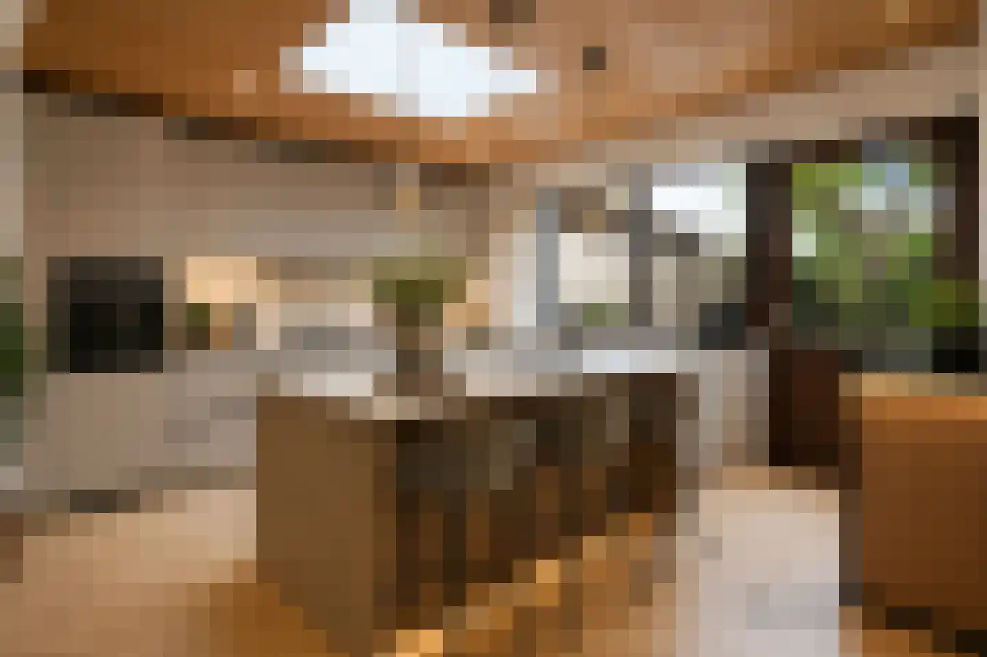 Loevesteinlaan 210 Den Haag thumbnail 15