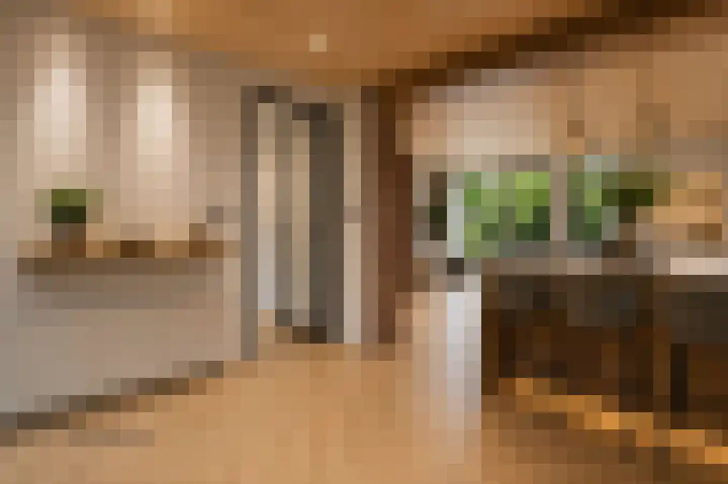 Loevesteinlaan 210 Den Haag thumbnail 16