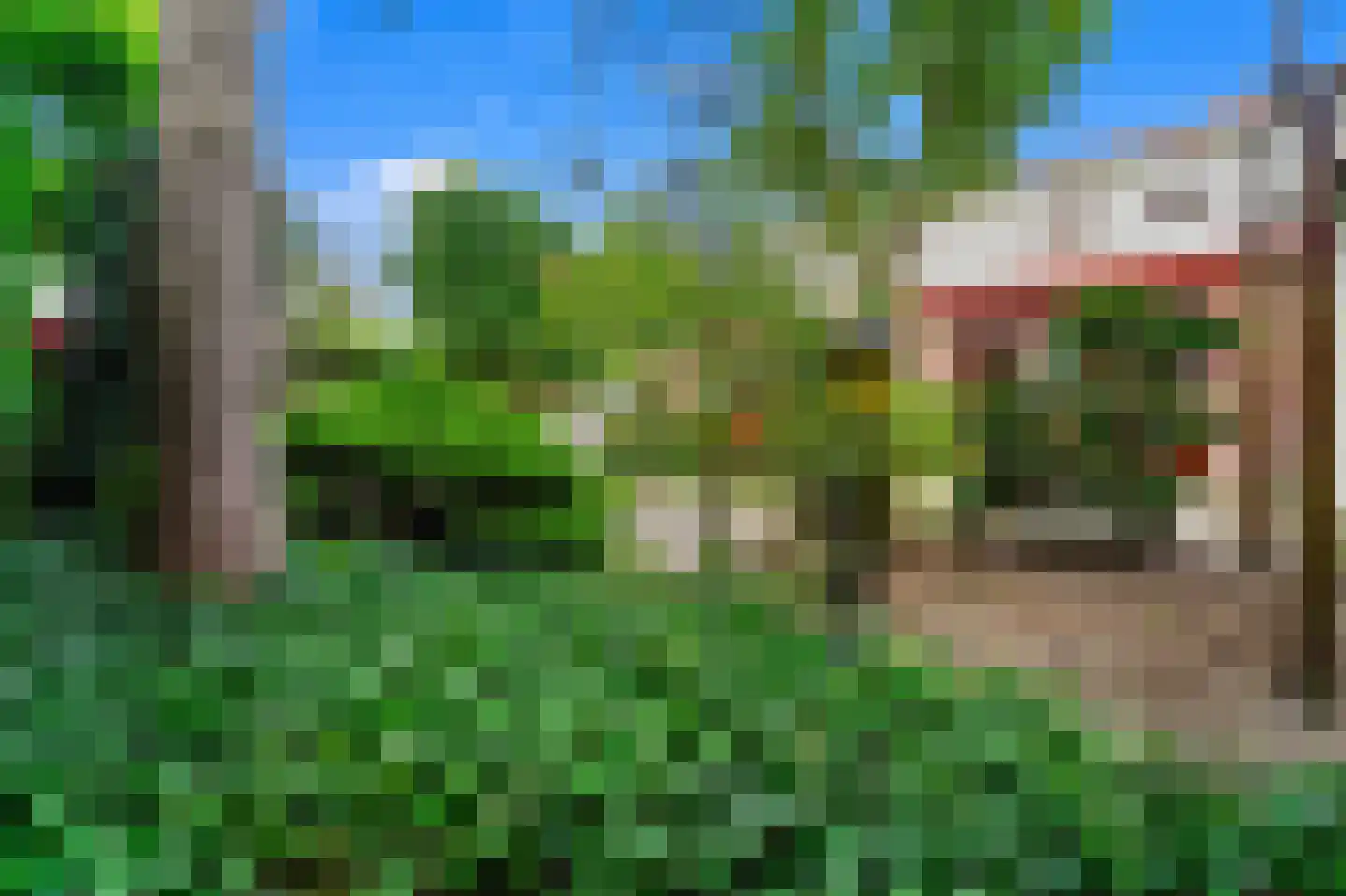 Loevesteinlaan 210 Den Haag thumbnail 23