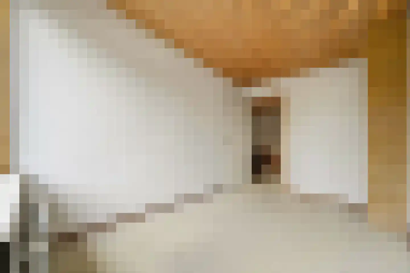 Loevesteinlaan 210 Den Haag thumbnail 29