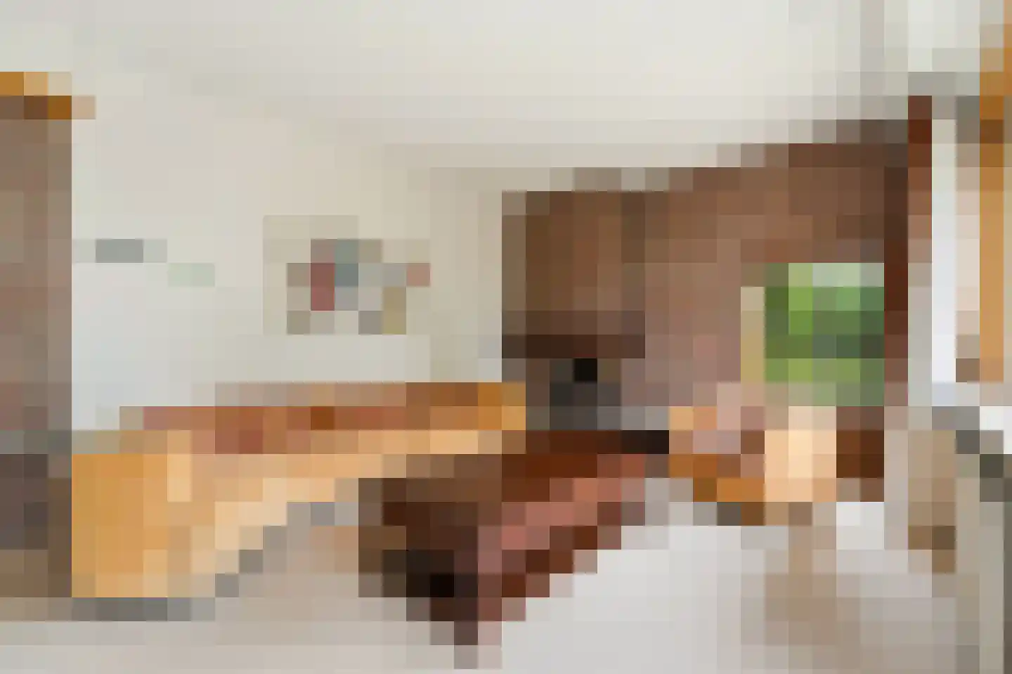 Loevesteinlaan 210 Den Haag thumbnail 8