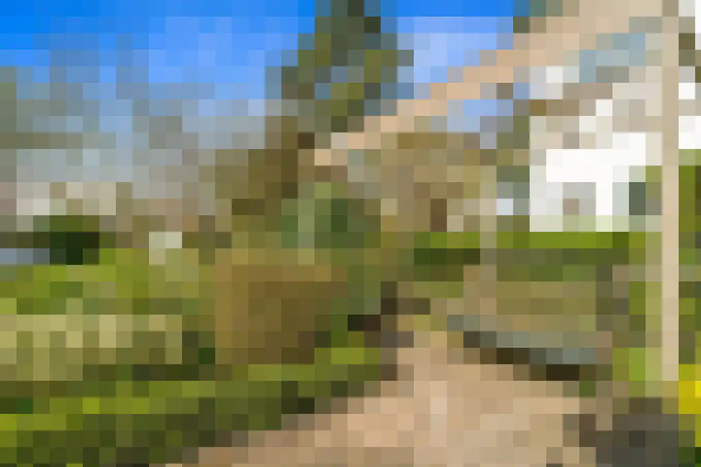 Loevesteinlaan 218 Den Haag thumbnail 66