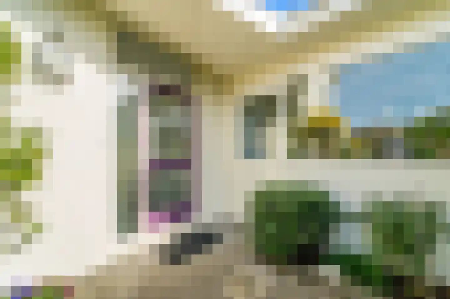 Loevesteinlaan 218 Den Haag thumbnail 7