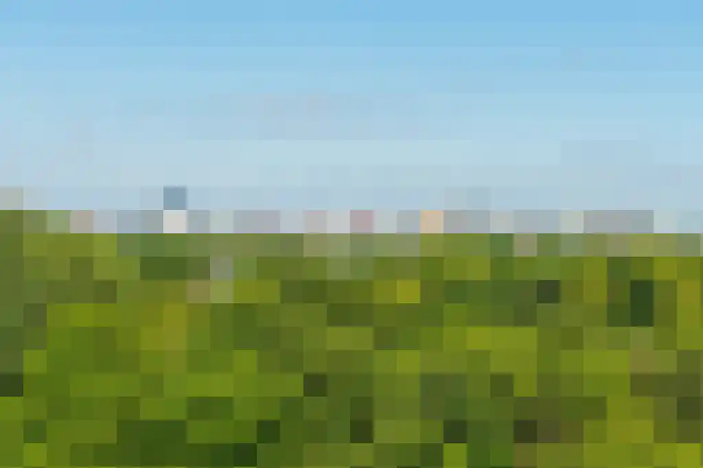 Loevesteinlaan 375 E Den Haag thumbnail 5