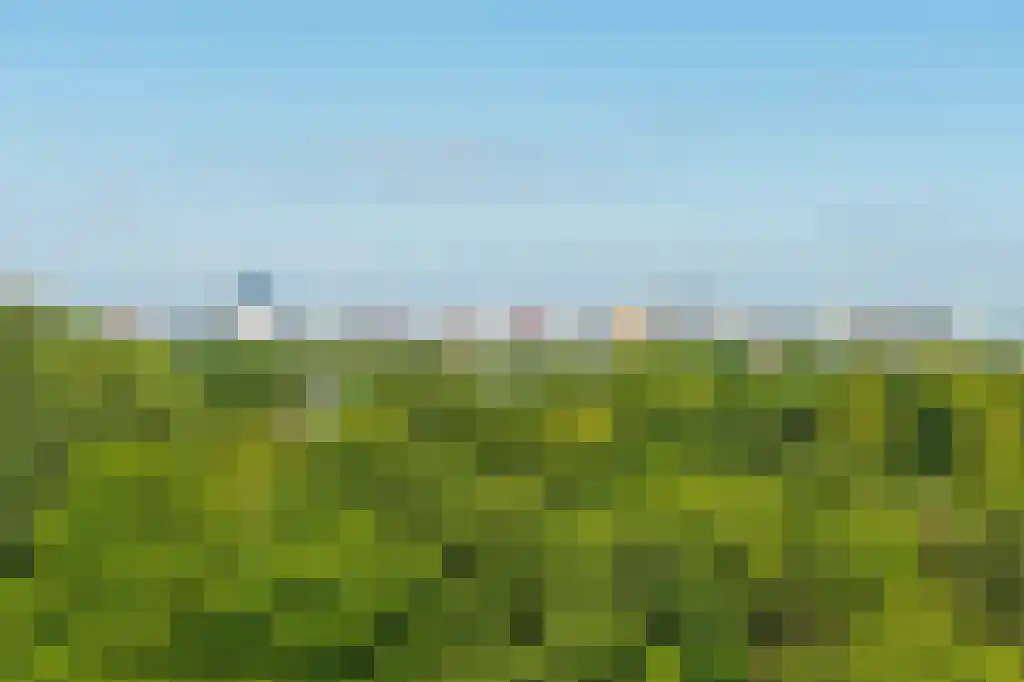 Loevesteinlaan 387 E Den Haag thumbnail 6