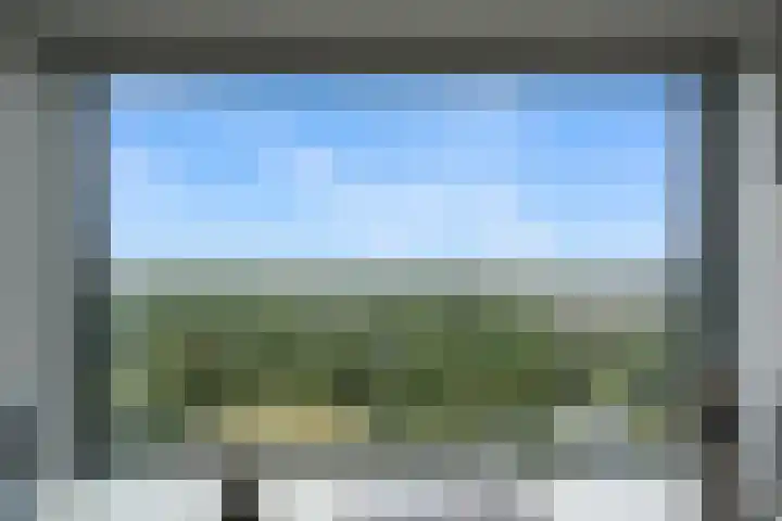 Loevesteinlaan 497 C Den Haag thumbnail 10
