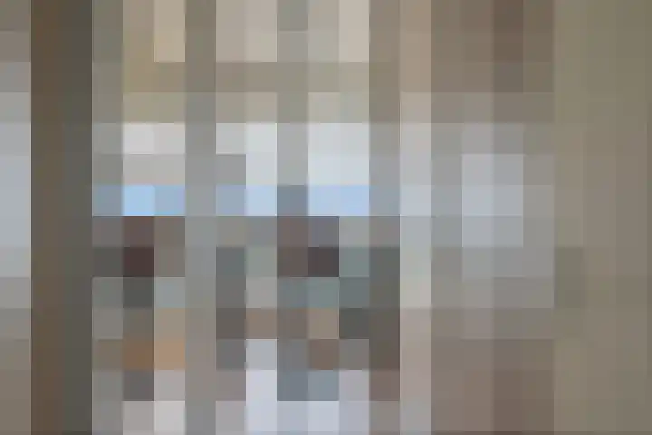 Loevesteinlaan 497 C Den Haag thumbnail 23