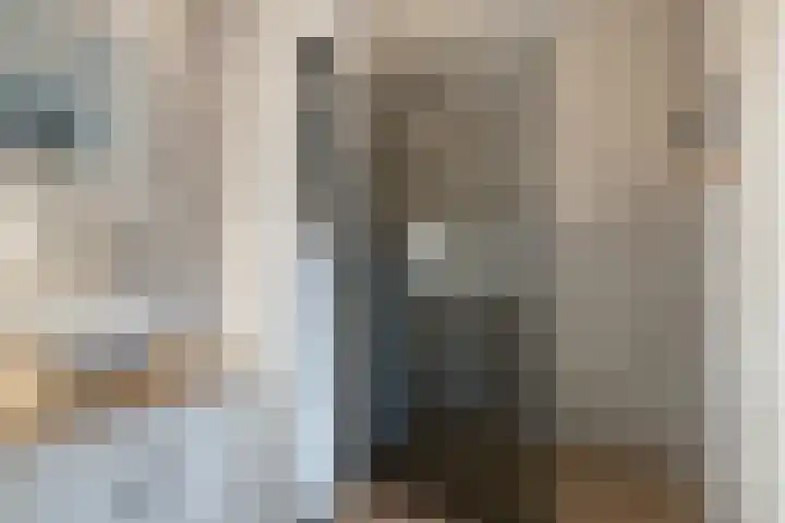 Loevesteinlaan 497 C Den Haag thumbnail 24