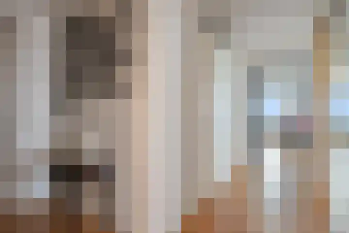Loevesteinlaan 497 C Den Haag thumbnail 27