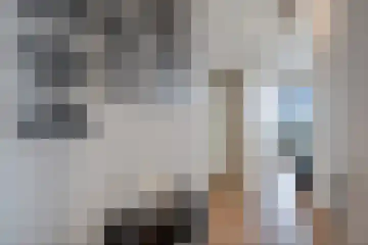 Loevesteinlaan 497 C Den Haag thumbnail 29