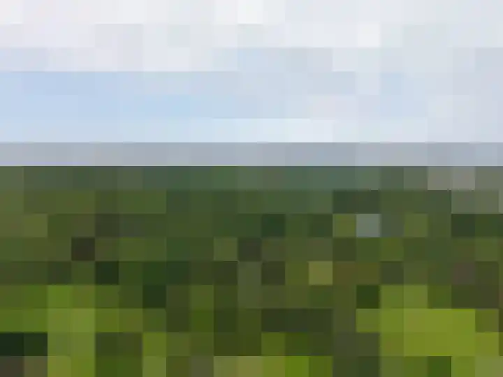Loevesteinlaan 497 C Den Haag thumbnail 35