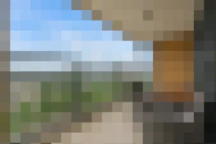 Loevesteinlaan 497 C Den Haag thumbnail 4
