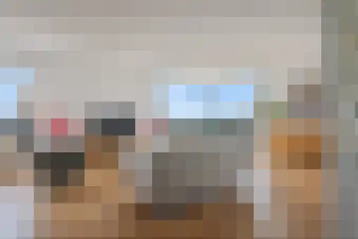 Loevesteinlaan 497 C Den Haag thumbnail 5